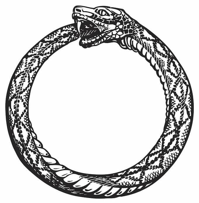 The Ouroboros