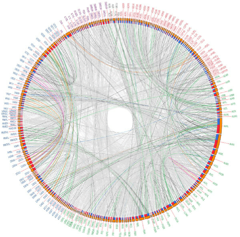 Directed circular wiring of the neurons of a C. elegens